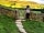 Newfold Farm: About 15 minutes' walk away