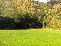 Secluded pitches Secluded pitches