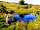 Great Glen Yurts