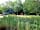 Bluebell Retreat Glamping: View across the nature pond to the firepit and pods