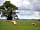 Glamping Thorpe: Across the site