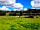 Primrose Cottage Camping