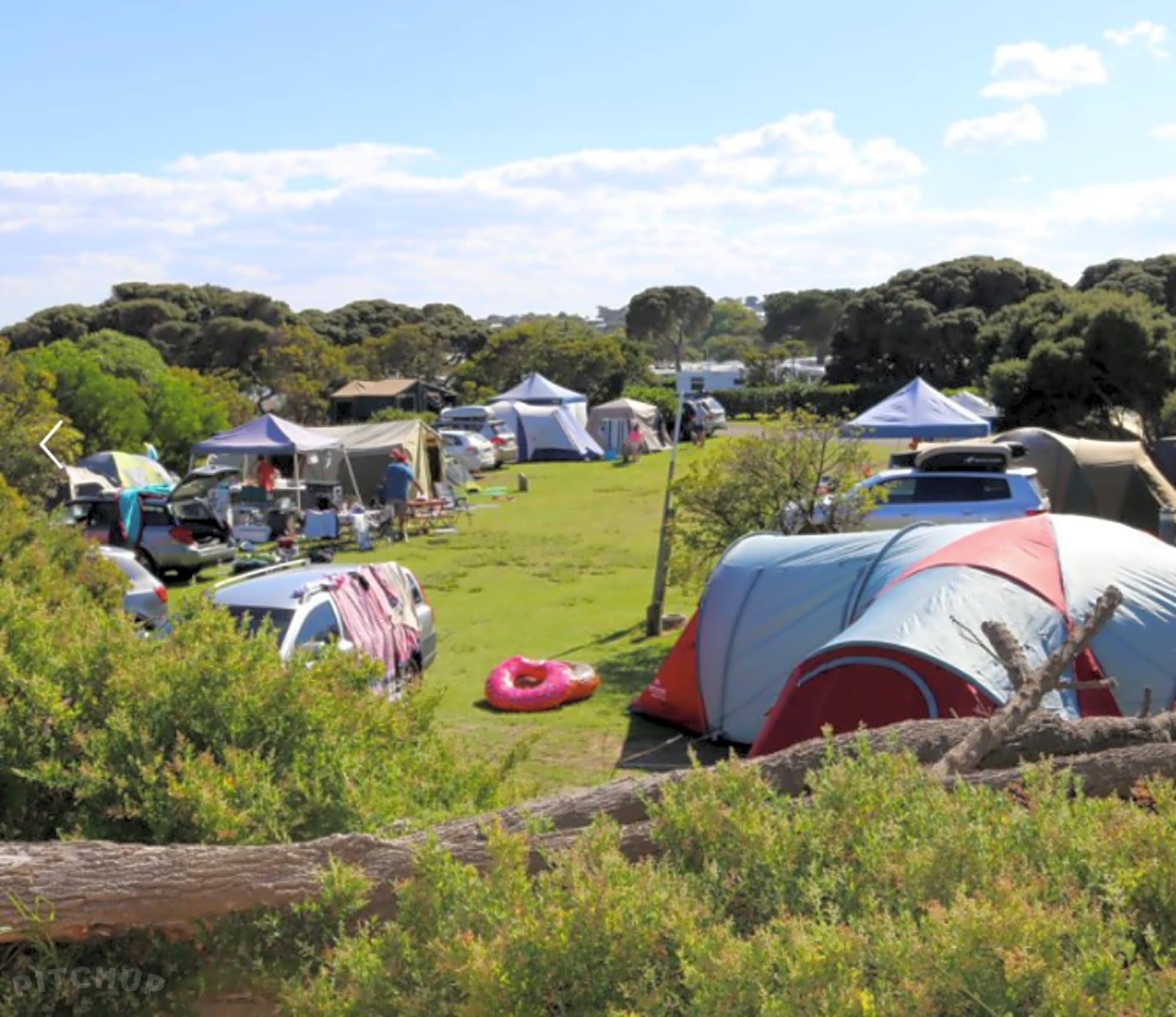 Anglesea Family Caravan Park, Anglesea Pitchup®