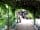 Church Paddock: Through the pergola