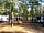 Parque Orbitur Sitava Milfontes: Pitch area under the shade of trees