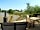 Grooby's Pit