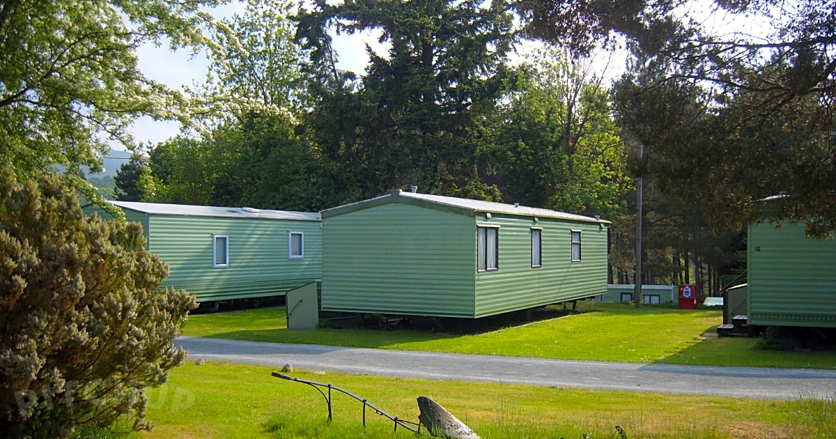 The Pines Caravan Park, Llandrindod Wells Updated 2021 prices Pitchup®