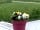 Vakantiepark 't Witven: Flowers on site (photo added by manager on 27/07/2019)