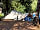 Camping Campo dei Fiori: Shady pitch