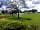 The Cider Orchard