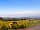 Brocklehead Farm: Site views