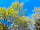 Creative Camping: Outside (photo added by manager on 09/05/2022)
