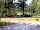 Blue River Campground: Plenty of space