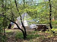 Bluebell Woodland Pitch Bluebell Woodland Pitch