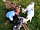 The Old Dairy Farm Caravan and Camping: Feeding time for pygmy goats (photo added by manager on 13/08/2020)