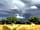 Wardley Hill Campsite: Norfolk skies