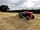 Brickbarns Farm Campsite: Vintage tractor ploughing nearby