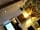 The Devonshire Arms: Inside the Devonshire Arms