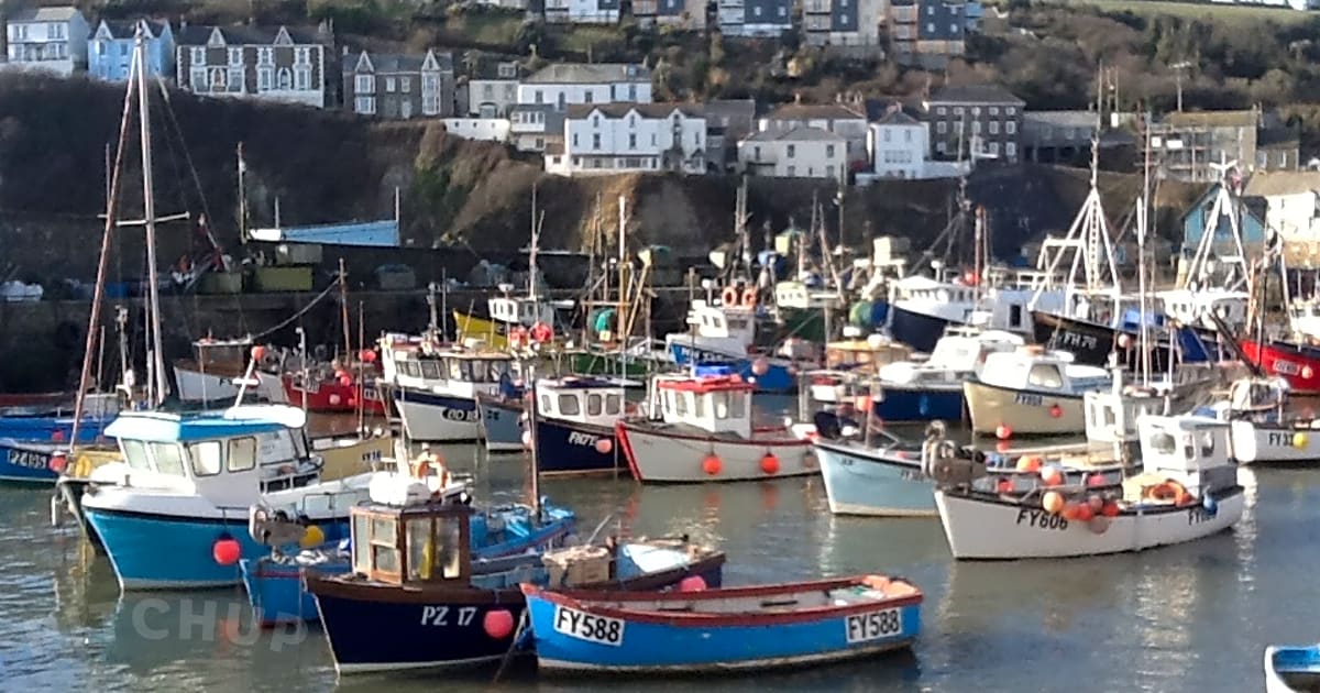 The Meadows Campsite, St Austell Pitchup®