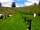 Heathfield Caravan Park: Spacious grass pitches