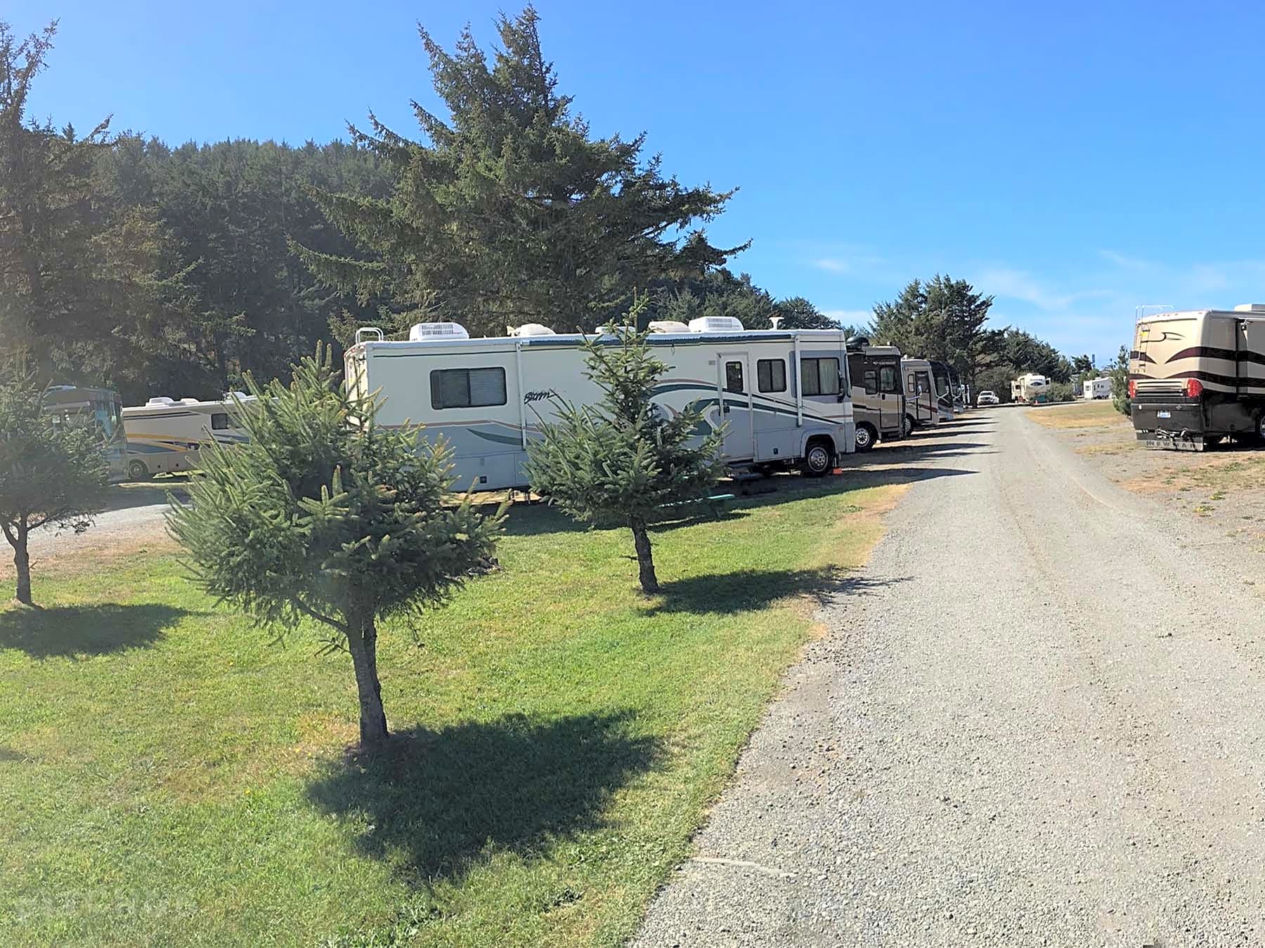 Turtle Rock Rv Resort Gold Beach Pitchup 174