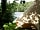 Marston Park: Bell tent near the lake