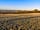 Goose Pasture Farm (фото добавлено менеджером 21.04.2023)