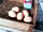 Mowbray Meadow: Fresh eggs (photo added by manager on 11/01/2022)