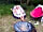 Clayford Field: Chilling in the field (photo added by helen_r130901 on 14/07/2020)
