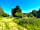 Church Meadow Campsite: Grassy pitches (photo added by manager on 05/06/2023)