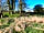 Pitch on the Wall Campsite: Shelter from trees