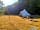 Blue Pool Camping: Provided bell tent (photo added by james_l327189 on 16/08/2022)