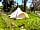The Wildings Campsite: Tent