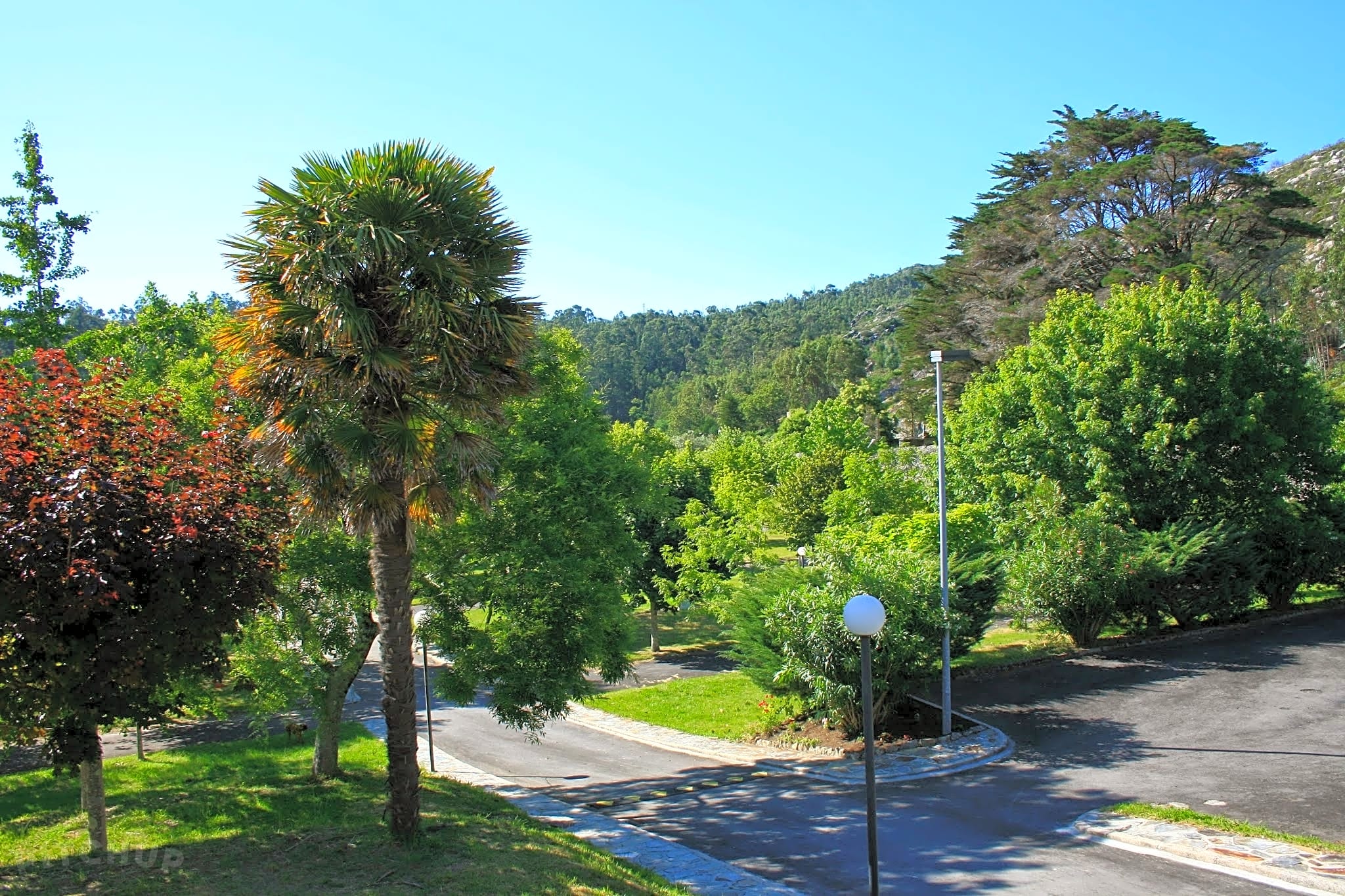 Camping San Francisco, Louro Pitchup®