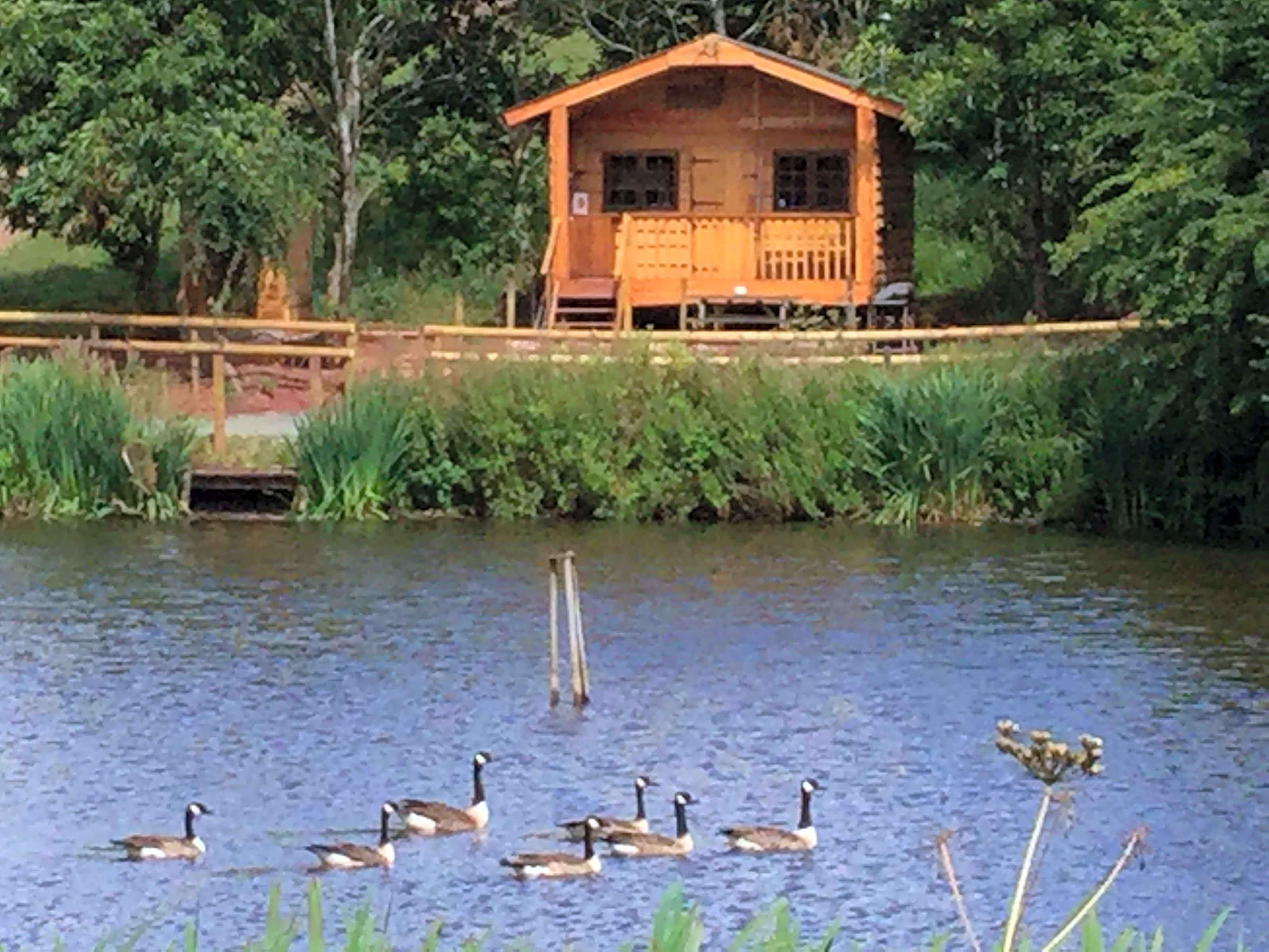 Nicholson Farm, Leominster Pitchup®