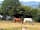 Camping Espace Vital: Your 'neigh'bours