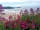 Court Farm Campsite: Beautiful coast 