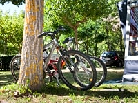 Pitches under the trees Pitches under the trees