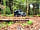 Coed Esgair Las Blue Ridge Woods Wildcamp