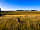 Bozedown Boltholes: Dog-friendly site (photo added by manager on 29/06/2022)