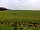 Dobella Lane Farm