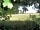 Suffolk Camping Pods: View across fields from podsite