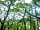 Barcdy Touring Caravan and Camping Park: Swinging in the woods (photo added by manager on 08/01/2015)