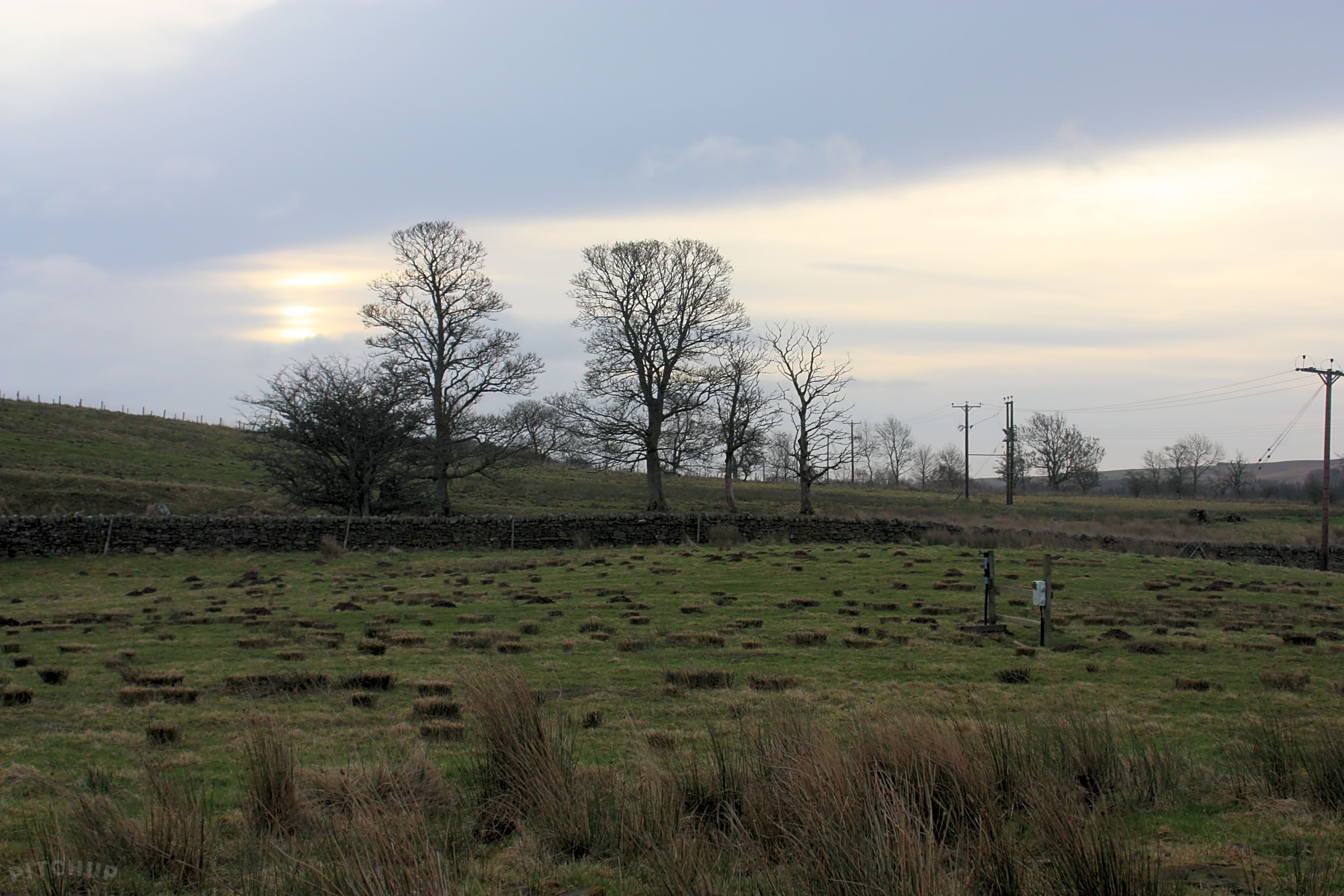 The Boe Rigg, Hexham - Pitchup®