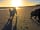 Cloughey Holiday Park: Our two dogs enjoying the beach