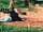 Searles Leisure Resort:  My little man loved putting his toys in the sand at the park his trucks  and trains