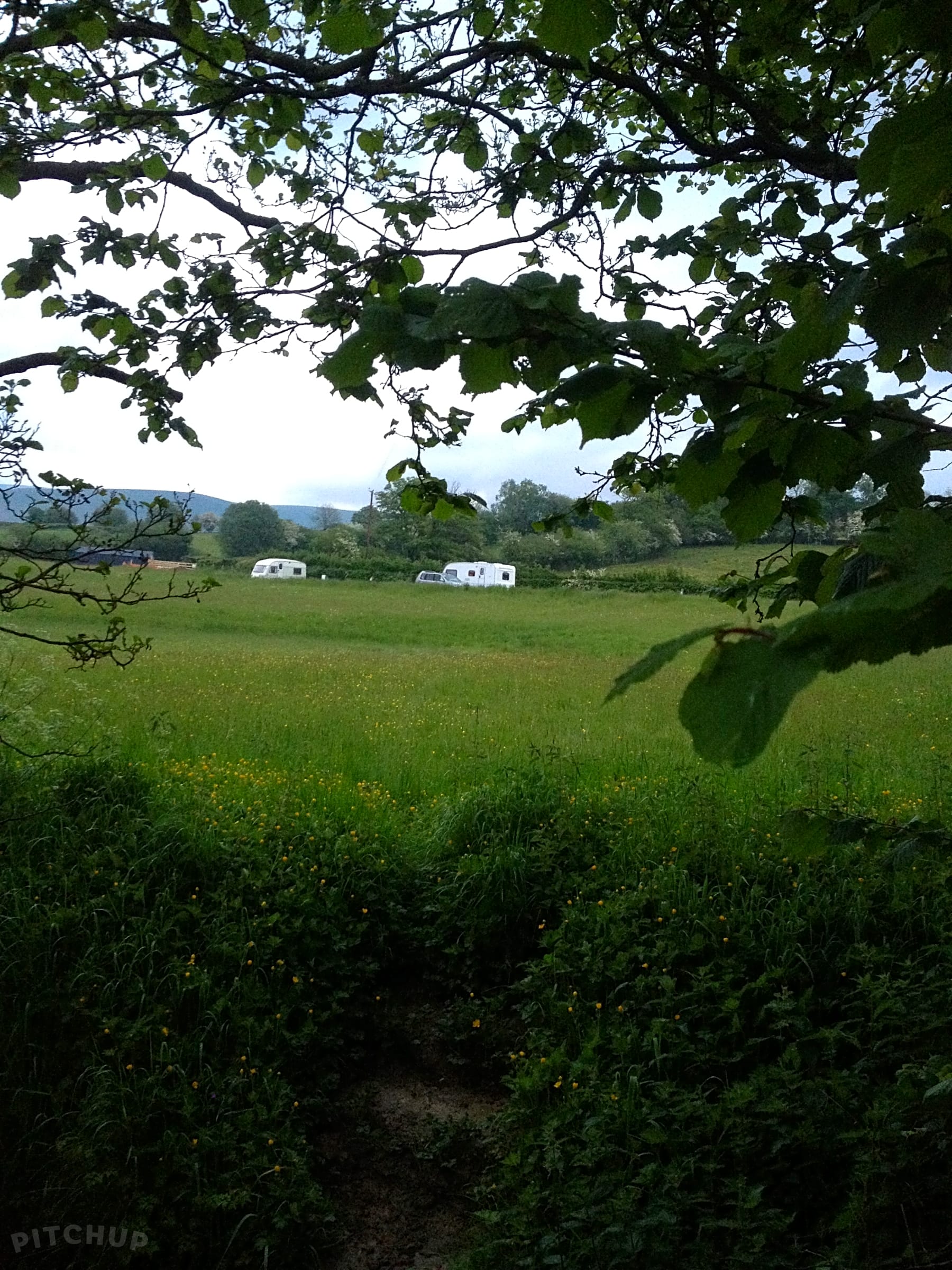 Spring Rock Fishery Llandrindod Wells Updated 2019 Prices