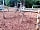Holme Pierrepont Country Park: Children's play park (photo added by  on 07/02/2023)