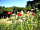 Tipis at Ponty
