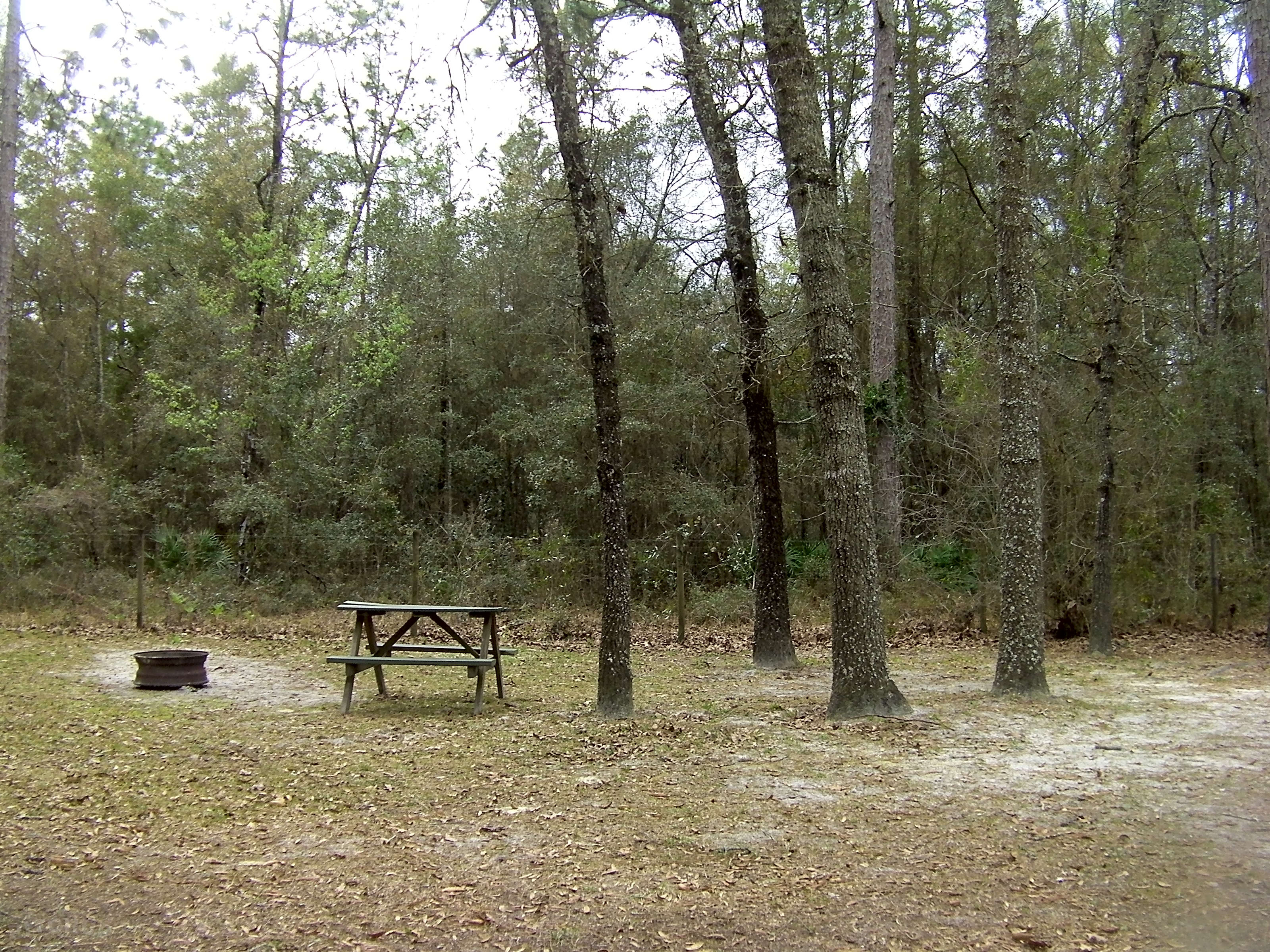 Old Town Campground, Old Town Pitchup®